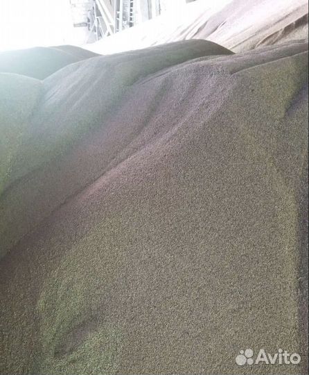 Просо, Кормовой овёс на корм/посев