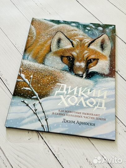 Дикий холод (Гудвин)