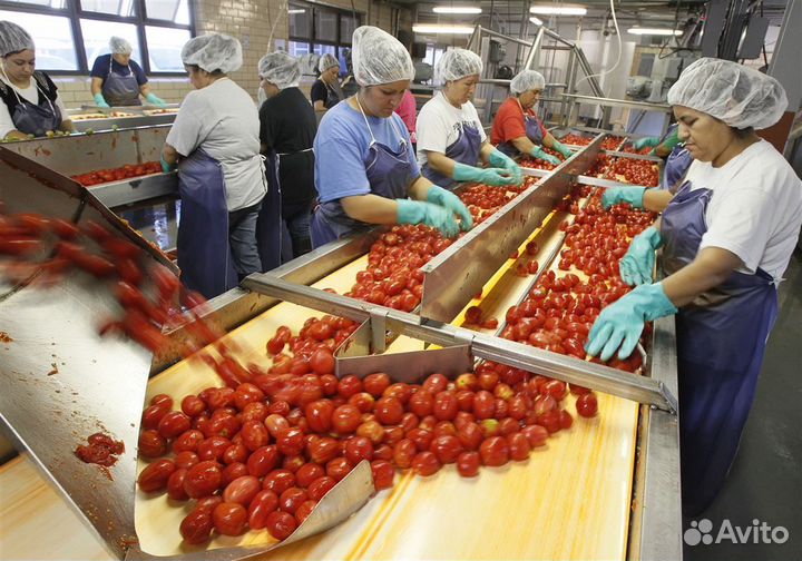 Подсобный рабочий в Тульскую область