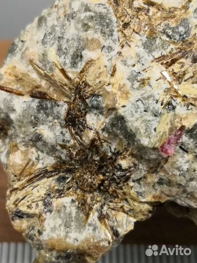 Эвдиалит, астрофиллит, нефелин. Хибины