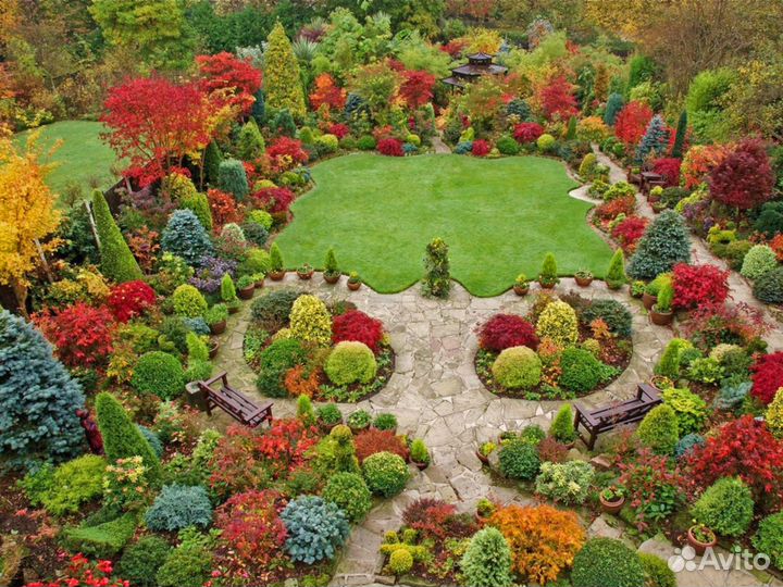 Ландшафтный дизайн 5 соток участка \ Проект №538