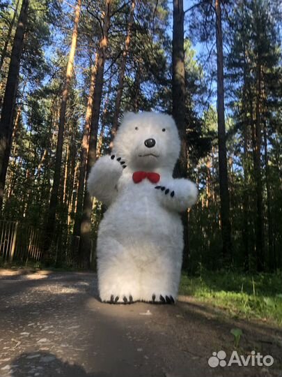 Медведь поздравление