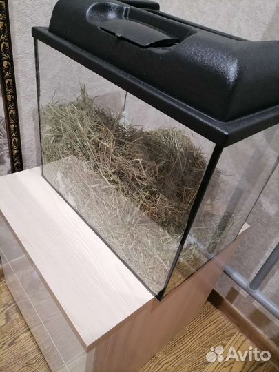 Аквариум/террариум для грызунов