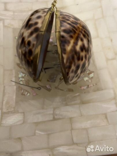 Морские ракушки. Сувенирные