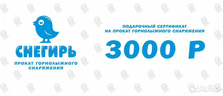 Подарочный сертификат на прокат лыж или сноуборда