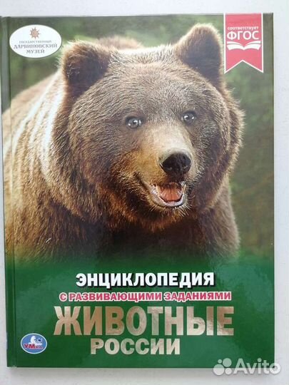 Животные России Энциклопедия с развивающ заданиями