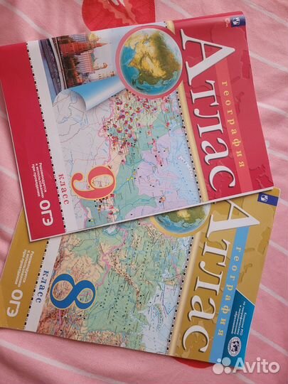 Образование