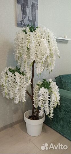 Сакура, глициния искусственные деревья фикусы