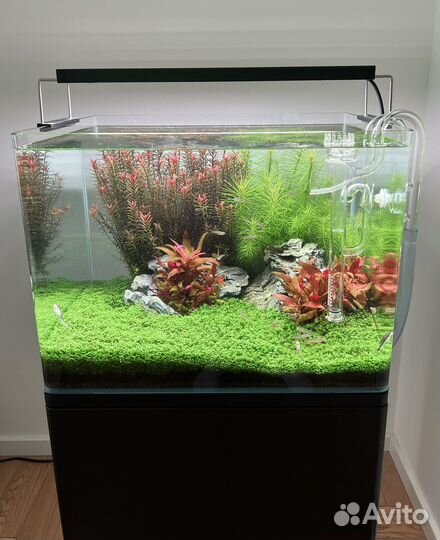 Готовый аквариум Dennerle 70 литров с тумбой