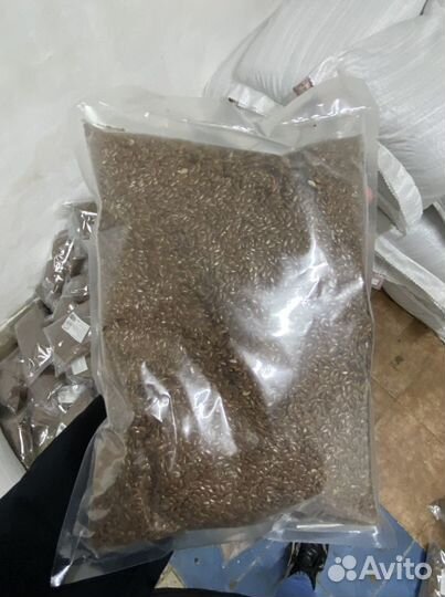 Семена льна оптом