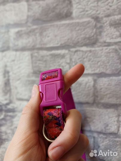 Ошейники для собак