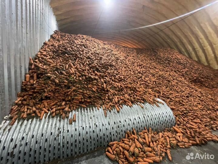 Вентиляционное оборудование для лука