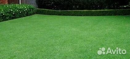 Гидропосев