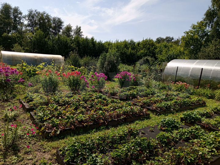 Дом 140 м² на участке 22 сот.