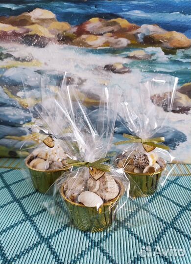 Набор из натуральных морских ракушек