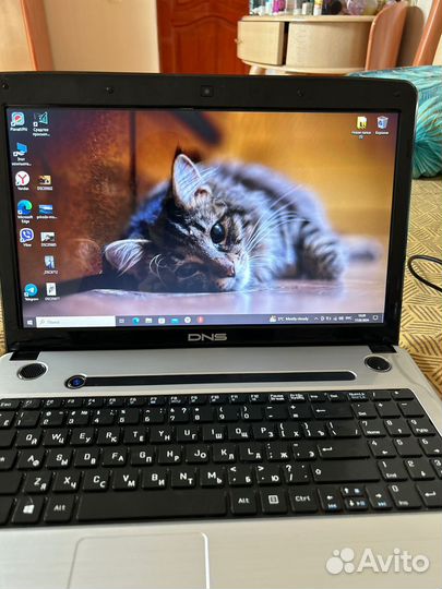 Ноубук DNS