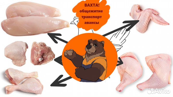 Обвальщик курицы (без опыта, общежитие, обед)