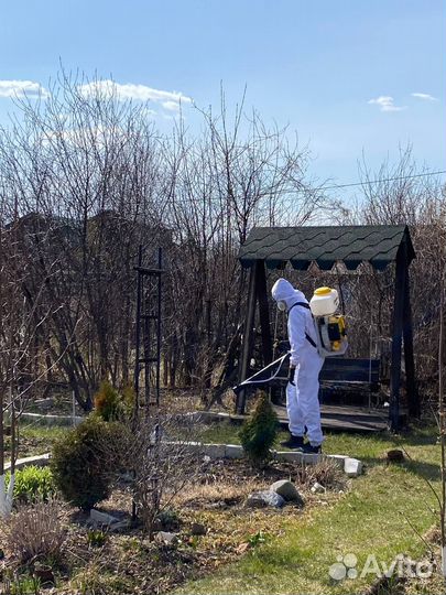 Обработка участка от клещей и комаров