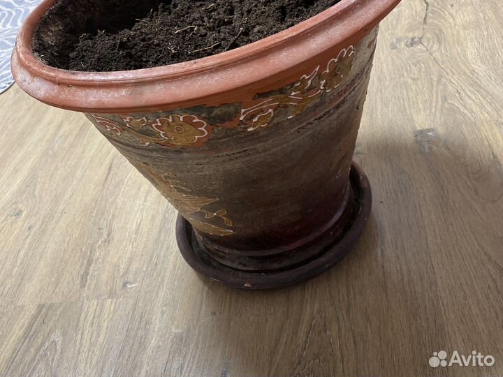Большой глиняный горшок