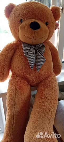 Большие плюшевые медведи
