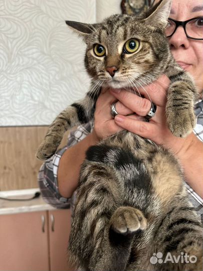 Матильде нужен дом