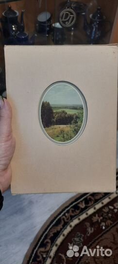 В краю моём родном Некрасов