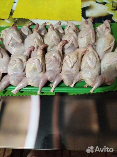 Мясо перепелов