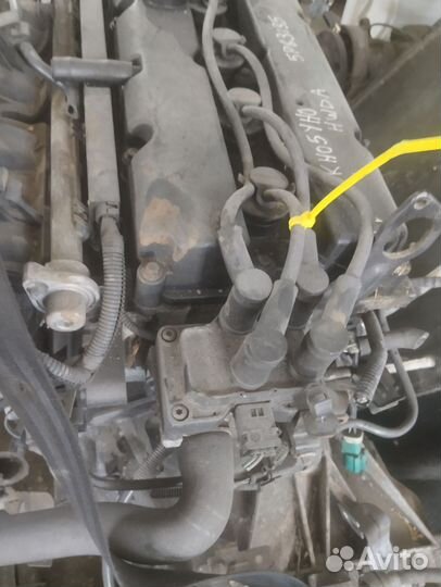 Двигатель форд фокус hwda. 1.6 100лс