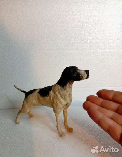 Собака. Пойнтер