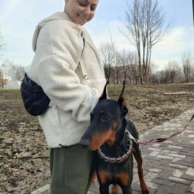 Персональный водитель на своем автомобиле