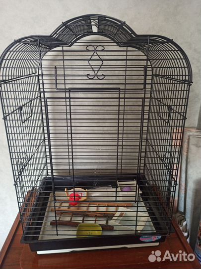 Клетка для среднего попугая