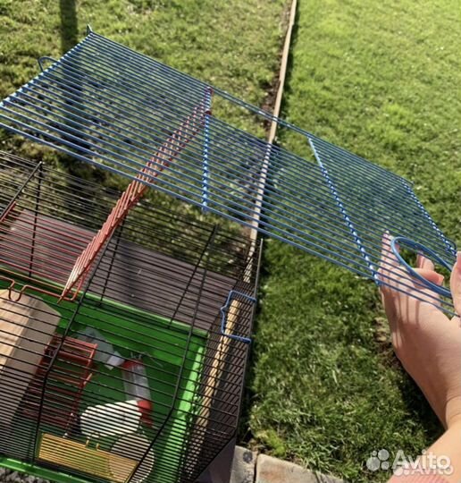 Клетка для грызунов