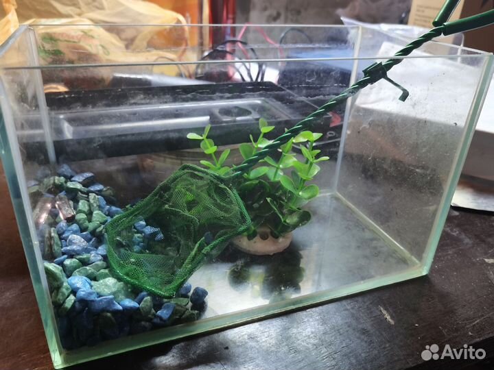 Аквариум