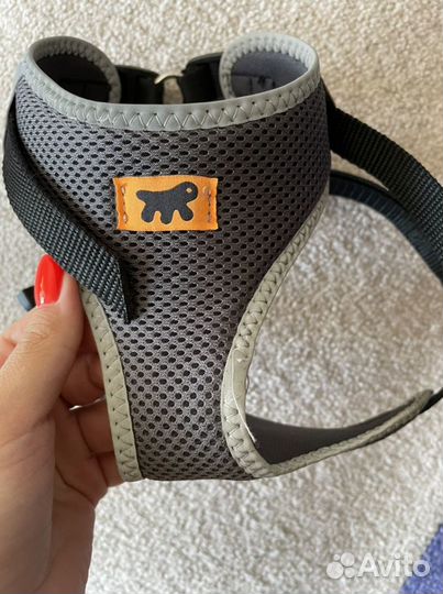 Шлейка для собак