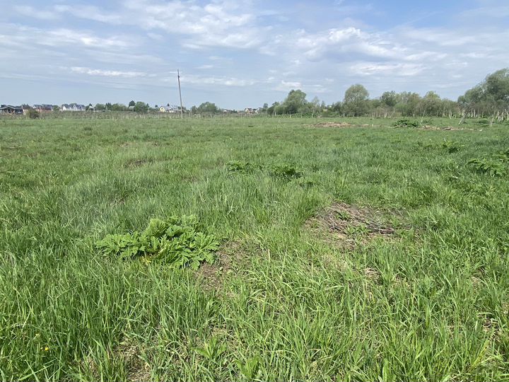 Участок 7,5 сот. (ИЖС)