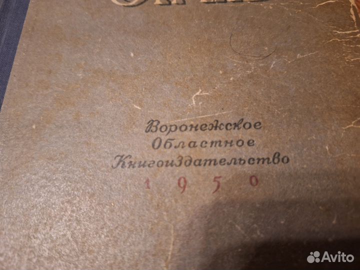 Как закалялась сталь Н. Островский