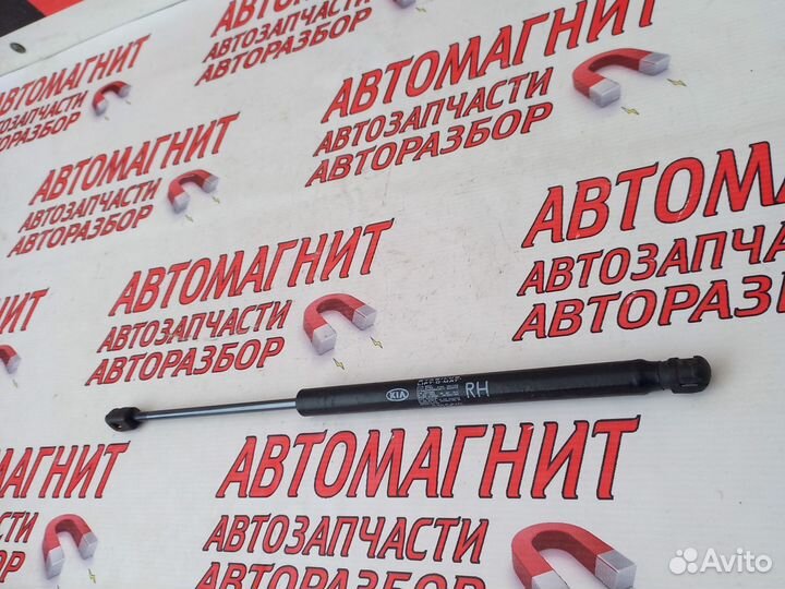 Амортизатор крышки багажника Киа Спортейдж 3