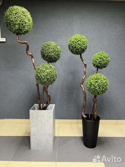 Искусственное декоративное дерево самшит