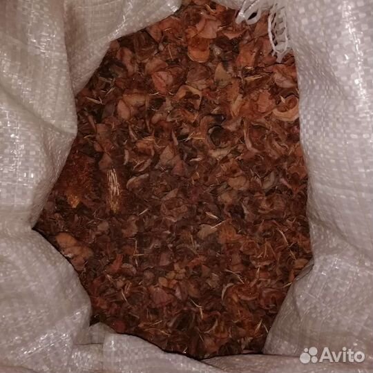 Шелуха кедровой шишки