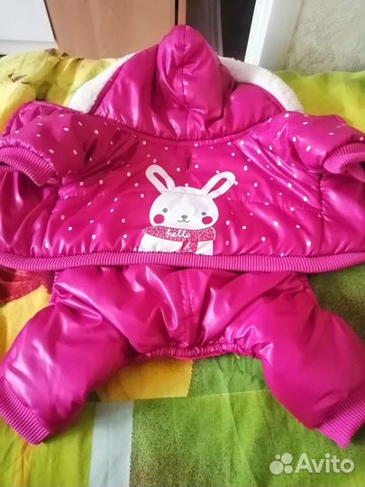 Одежда для собак мелких пород