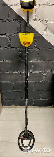 Металлоискатель Garret Ace 250 аренда