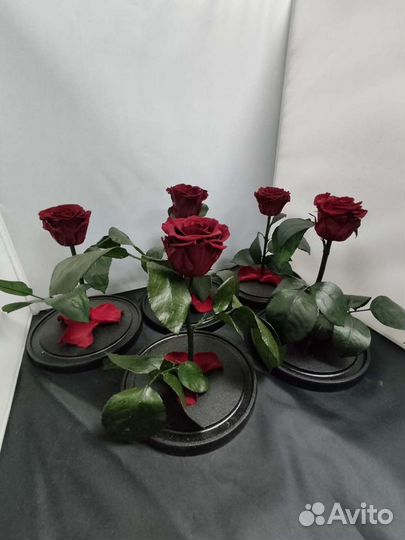 Роза в колбе оптом