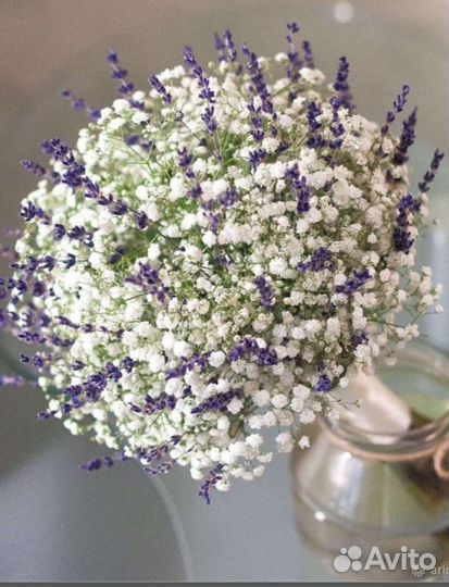 Свадебный букет невесты из гипсофилы с лавандой