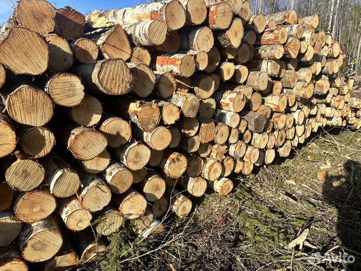 Берёзовый тонкомер