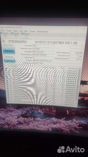 Жесткий диск IBM System X 500gb