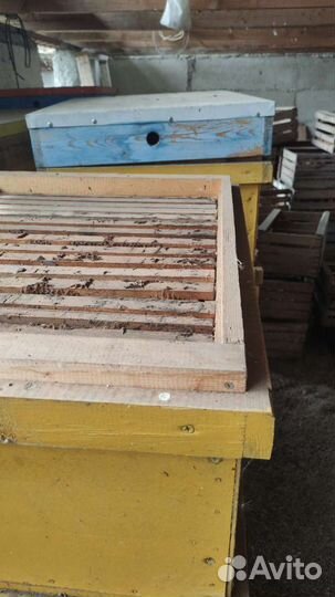 Улей для пчел