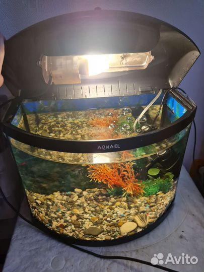 Аквариум