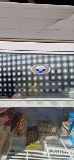 Холодильник