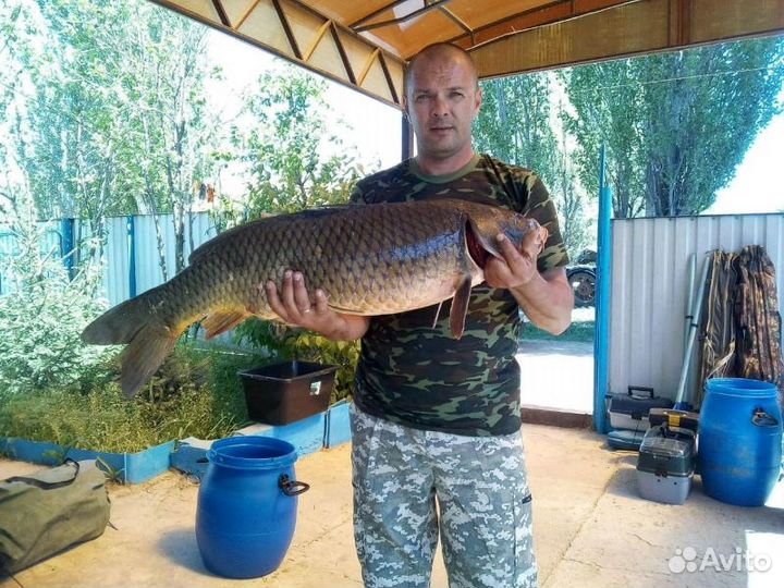 Рыбалка и охота с.Тишково Астраханская область