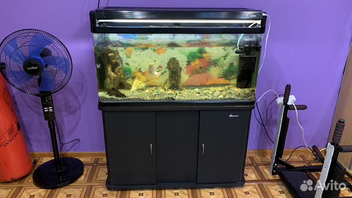 Аквариумы + рыбки + декор+ тумба